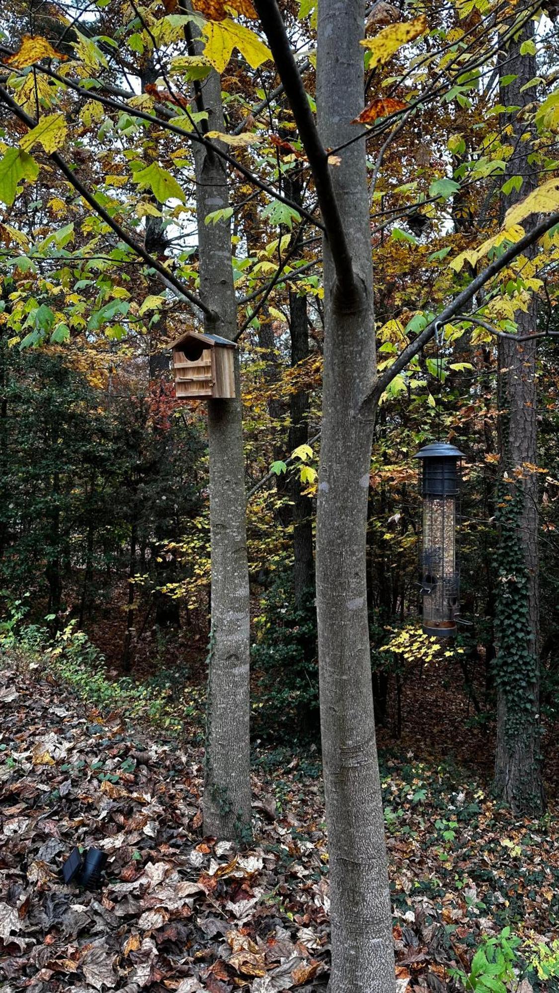 Appalachian Mountain Cabin-Updated-Private-Rafting On Ocoee River-Hiking-Waterfalls-Wifi-Pets Ok เมอร์ฟี ภายนอก รูปภาพ