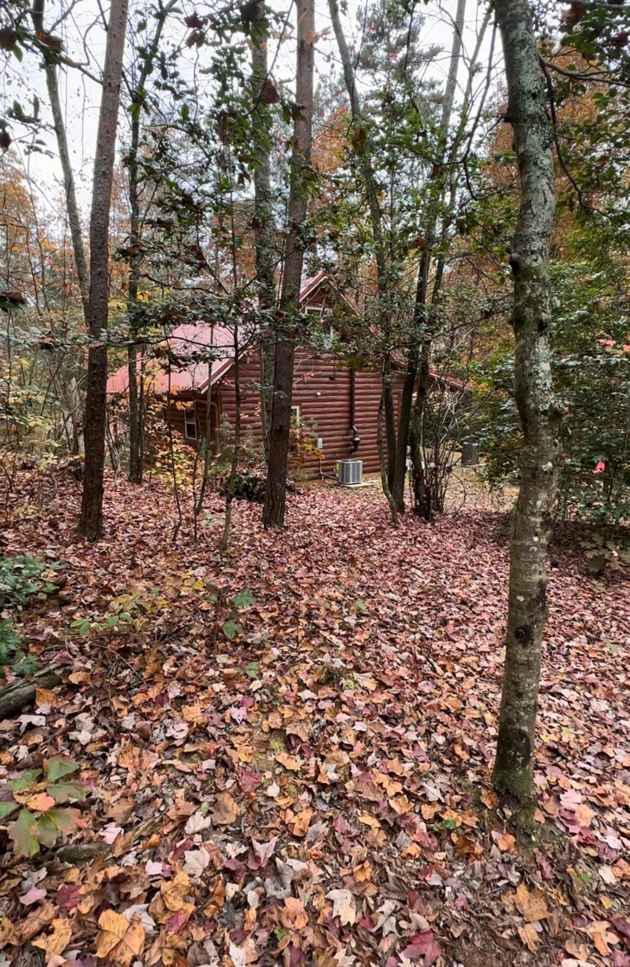 Appalachian Mountain Cabin-Updated-Private-Rafting On Ocoee River-Hiking-Waterfalls-Wifi-Pets Ok เมอร์ฟี ภายนอก รูปภาพ
