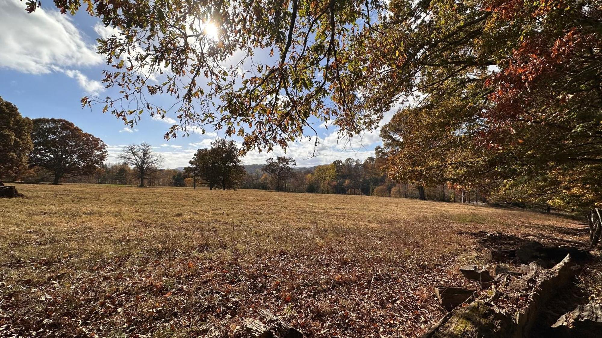 Appalachian Mountain Cabin-Updated-Private-Rafting On Ocoee River-Hiking-Waterfalls-Wifi-Pets Ok เมอร์ฟี ภายนอก รูปภาพ